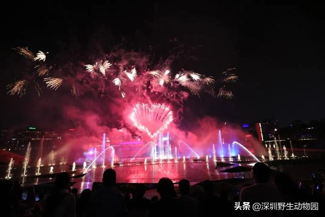 深圳世界之窗门票多少钱一张，深圳世界之窗晚上门票多少（动物园\u0026世界之窗/欢乐海岸水秀）