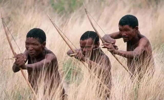 夜幕 深色系静物 伤感朋友圈背景图.，微信头像，夜幕 深色系静物 伤感朋友圈背景图.（藏在朱砂里的迷人危险）