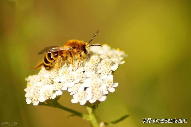 回报是什么意思，年化回报是什么意思（你知道它的近义词吗）