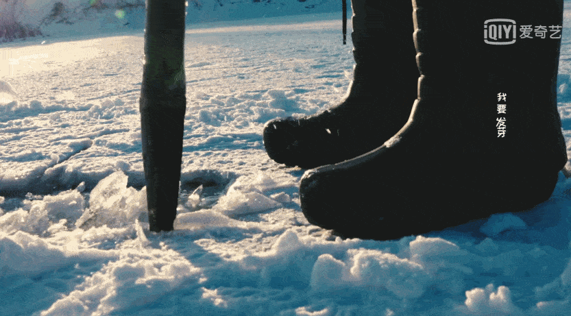 倪大红个人资料简介，倪大红个人资料简介妻子 倪炜（倪大红与倪萍剧中扮夫妻）