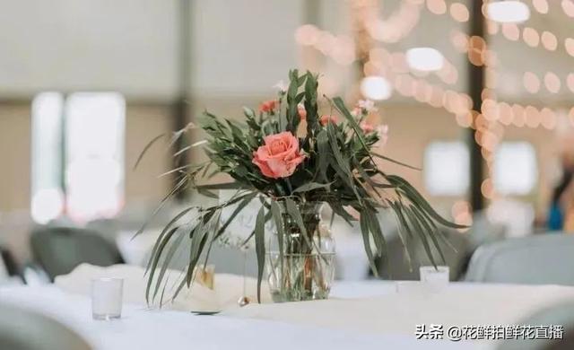 玫瑰花的寓意，玫瑰日常养护打理技巧（黄玫瑰花语象征与寓意）