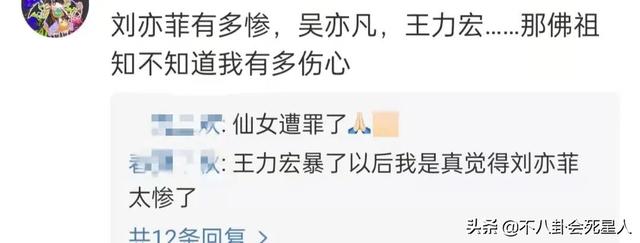 王力宏刘亦菲电影，王力宏与刘亦菲电影（王力宏5大恶臭黑历史）