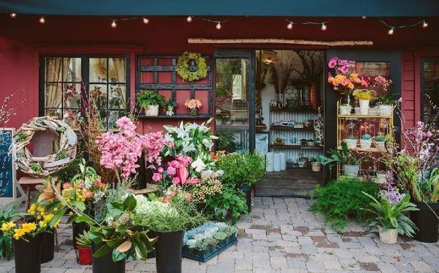 盆景花卉批发市场，重庆市花卉盆景批发市场在哪里（这几个平台市场随你逛）