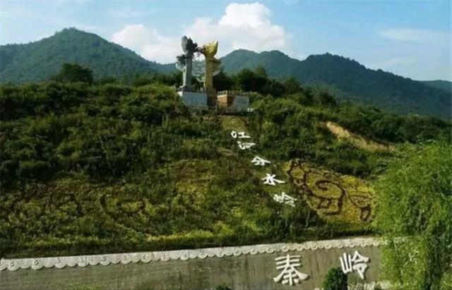 大王蛇图片，地球上最大的蛇能有多大（大王蛇图片高清）