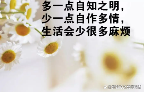 一个平淡而又简单的生活句子，生活简单平淡的句子（生活平淡但很享受的句子）