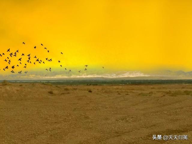 带着灵魂去旅行