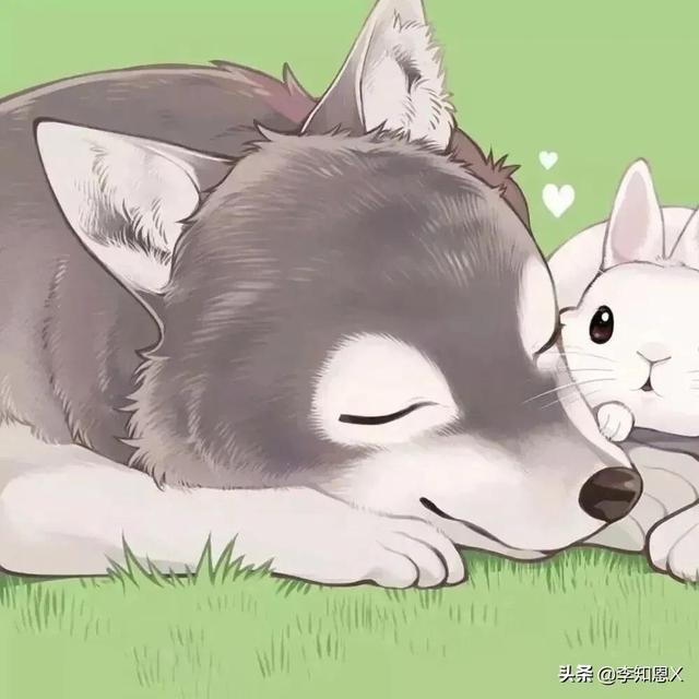 抱猫的女生头像，乔：可爱抱猫女头 人刚认识的时候总是拘谨中带着温柔微信（有趣可爱的情侣头像啊）