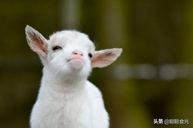 大年初四要迎接哪一位神仙，大年初一要敬哪位神仙（牢记2个习俗、4个忌讳、食2样）