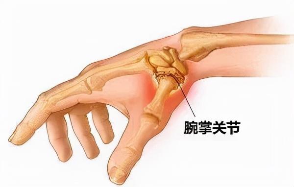 大拇指的作用是什么，大拇指的作用是什么这个动作被称为什么（它才是五根手指里的“老大”）