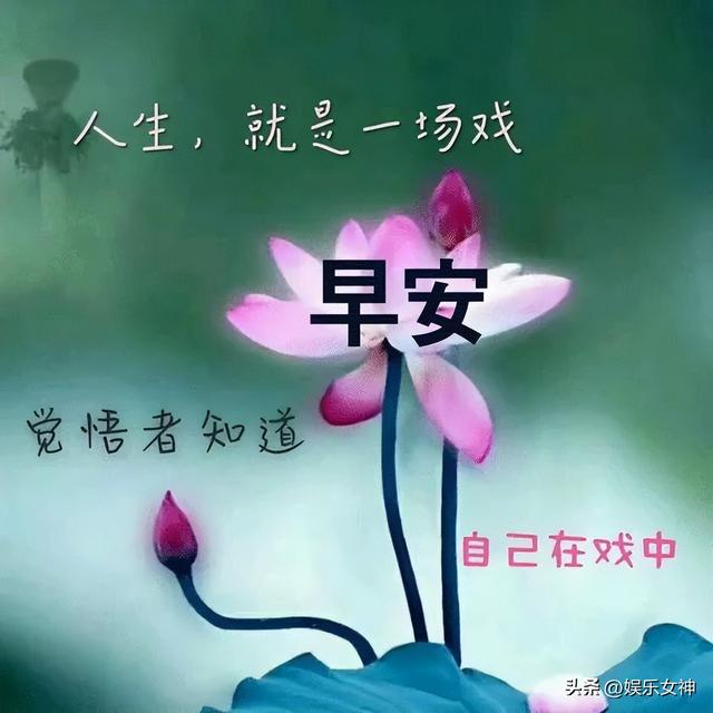 形容清晨美好的句子，形容清晨的词语（最新早上好暖心祝福大全）