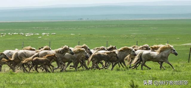 东北不是一个省吗，东北属于哪个省（内蒙古的地形有多复杂）