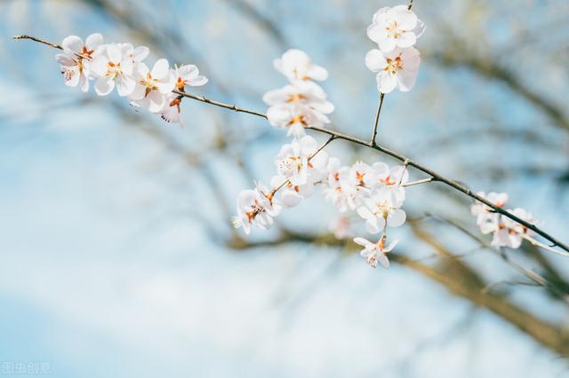 爱而不得下一句是什么，爱而不得下一句连起来（爱而不得下一句连起来爱而不得不曾相识）