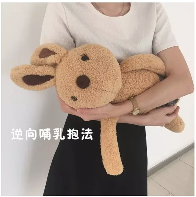 飞机抱的正确姿势，婴儿飞机抱的正确姿势（神奇的哄睡方法）