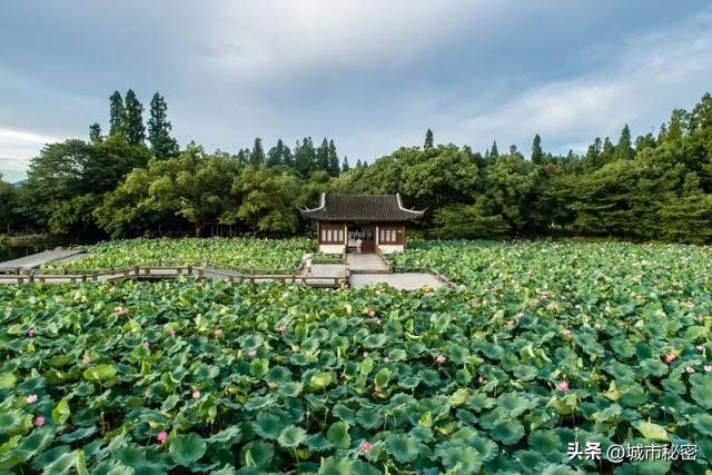八载图片保护有哪些，八载图片保护怎么设置（西湖保护70年）