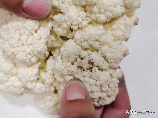 菜花是什么菜，菜花是什么菜图片（看完赶紧收藏告诉家人）