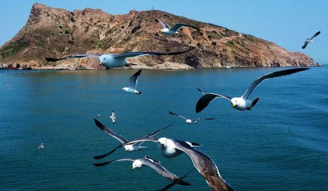 烟台自由行攻略，烟台旅游攻略自由行（这座低调的海滨城市）