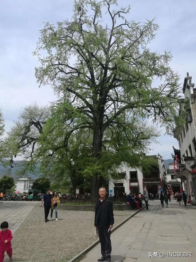 安徽宏村旅游景点简介，安徽宏村旅游攻略（安徽黄山市黟县宏村）