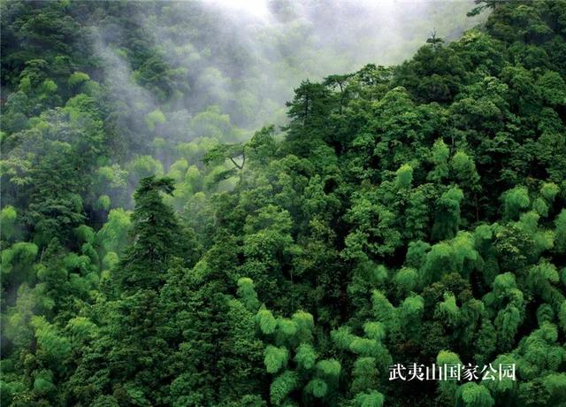 武夷山是在哪里，武夷山在哪里个省份哪个市（它与气象有怎样的故事）