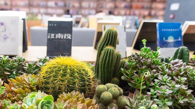 诚品书店大陆有几家，诚品书店网店（锦创书城：你非说它是一个书店）