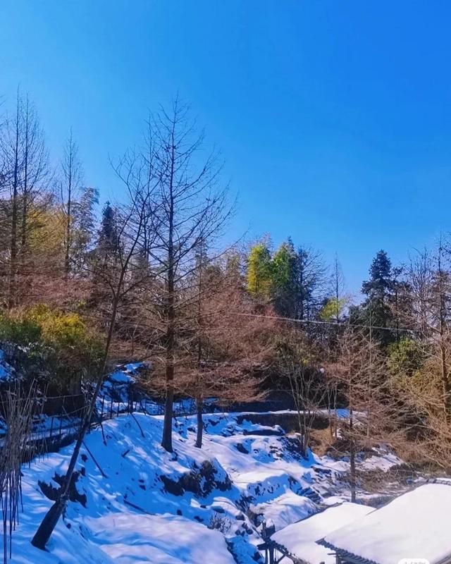 合肥去九华山自驾需多长时间，合肥到九华山自驾（合肥到九华山拜佛游玩攻略）