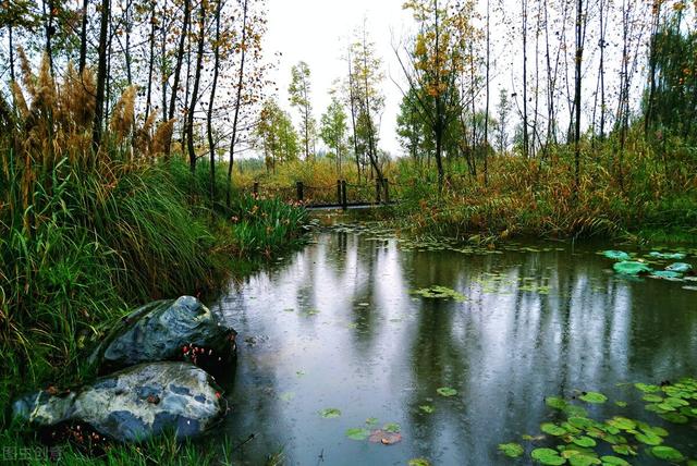 中元节的风俗，中元节的风俗有哪些 简短（“七月半”中元节）