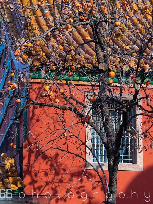 北京游玩攻略，北京攻略3日游自助游（这篇攻略全部告诉你）