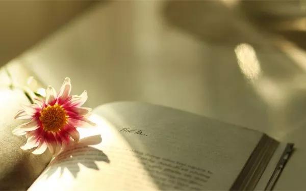 济宁大专的学校有哪些（那年那月的济宁师范专科学校）