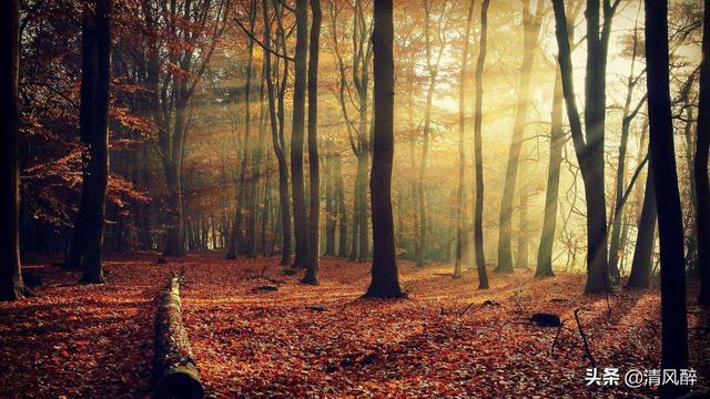 鼓励事业低谷男人的话，安慰男人压力大的暖话（人在低谷期发的励志说说）