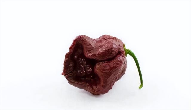 世界上最辣的辣椒，世界上最辣的五种辣椒（世界上最辣的10种辣椒）