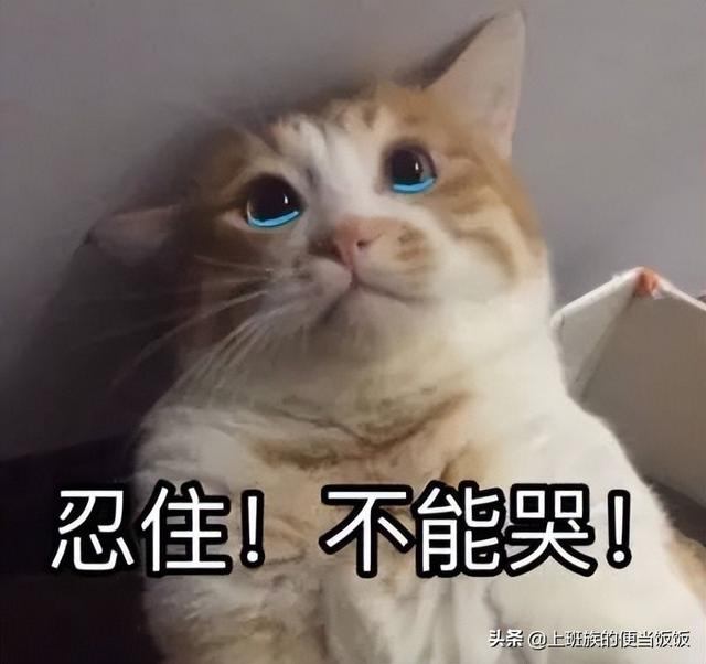 吐司面包的吃法，吐司面包的吃法 烤箱（鲜香浓郁会爆浆）