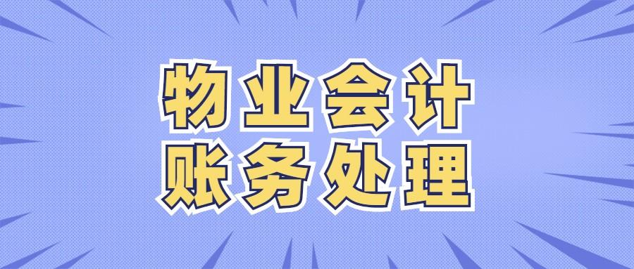 财务会计 视频（深圳31岁物业女会计）