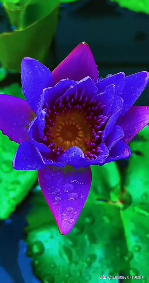 美美美的，美美美的表情包（壁纸美图）