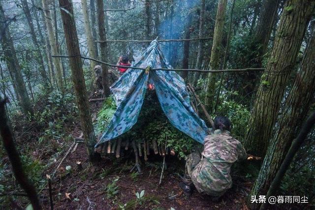 荒野求生的技巧，荒野求生的技巧和方法（荒野中最容易犯的8个致命错误以及避免这些错误的技巧）