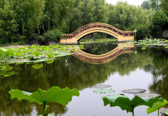 枣庄最值得去的旅游景点有哪些，枣庄在等你