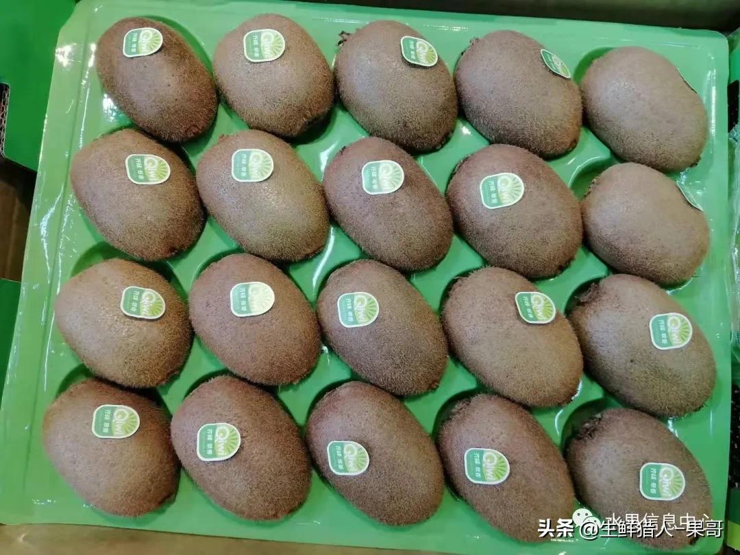 浆果是什么，浆果是什么软件（不同水果的不同包装<浆果篇>）