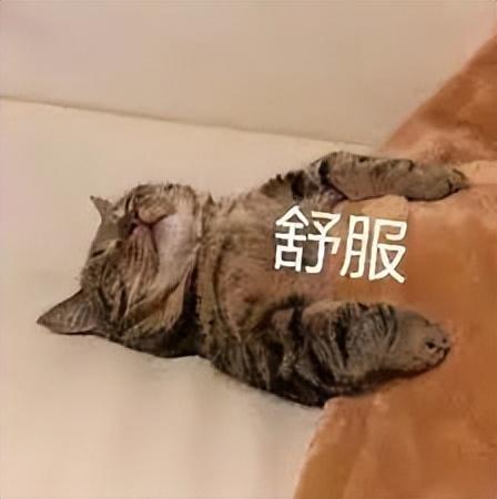 ios是什么意思，ios是什么意思 有什么用（各种隐藏功能大盘点）