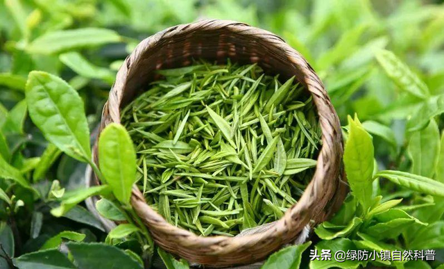 谷雨和雨水的区别，雨水和谷雨的区别（二十四节气之“谷雨”）