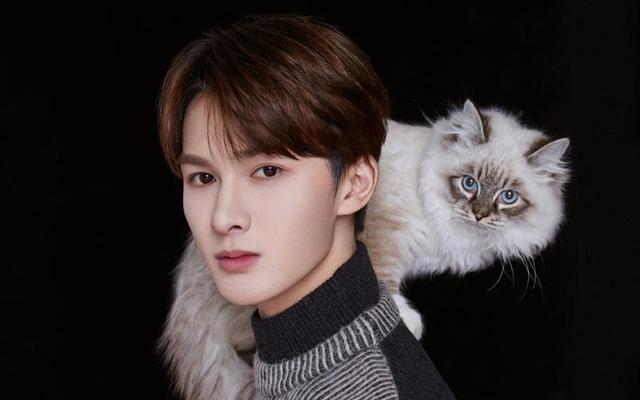 史上最尴尬的五位明星，这9位明星简直尴尬又可笑