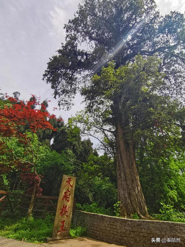 怎样游览邛崃天台山，去邛崃天台山（2022夏日自驾旅行体验）