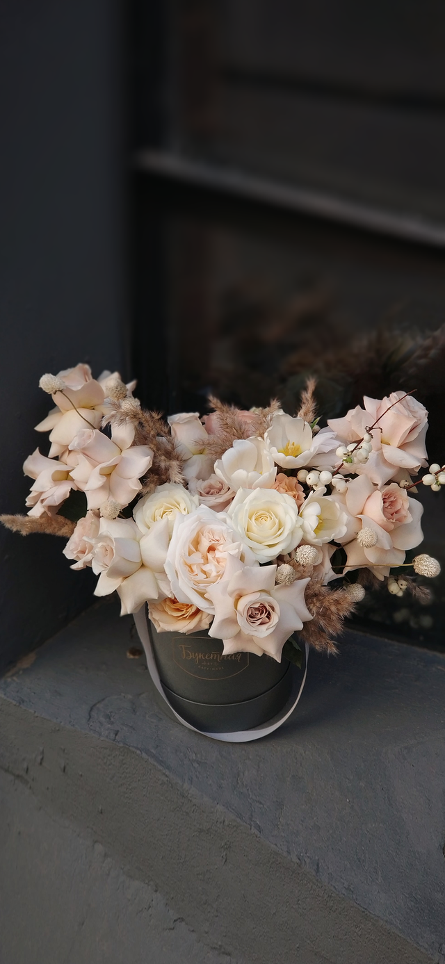 风景静物背景图|谢谢光临.，静物背景图片（花卉摄影壁纸图文解说）