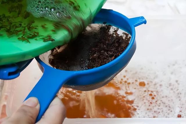 家里有小飞虫怎么消灭，家里有好多小飞虫怎么消灭的小妙招（5个“笨方法”）