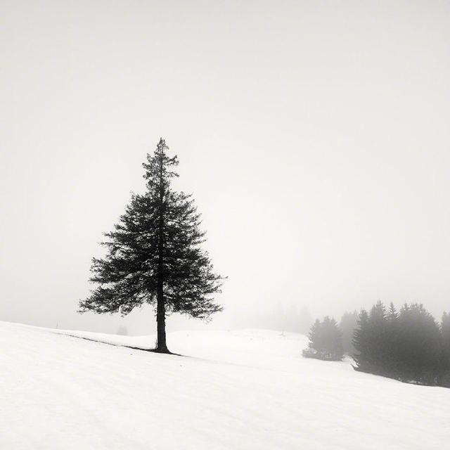 网络名言，网络名言唯美句子（很潮很犀利的人生格言）