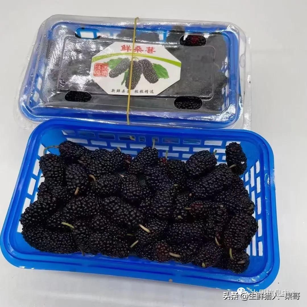 浆果是什么，浆果是什么软件（不同水果的不同包装<浆果篇>）