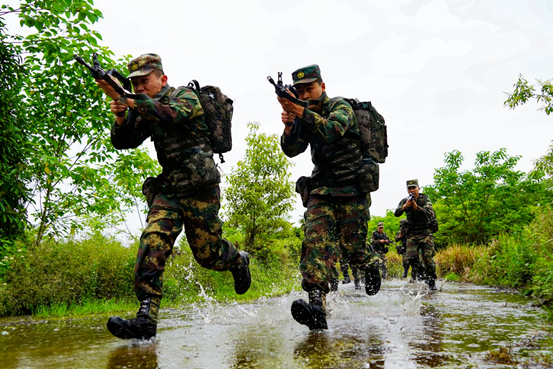 我想要怒放的生命，想要怒放的生命什么歌（歌曲《怒放的生命》）