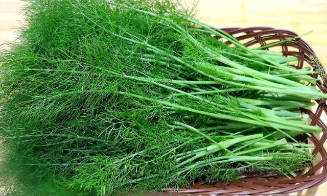 大茴香是八角吗，大茴是八角吗（地位“尴尬”的茴香）