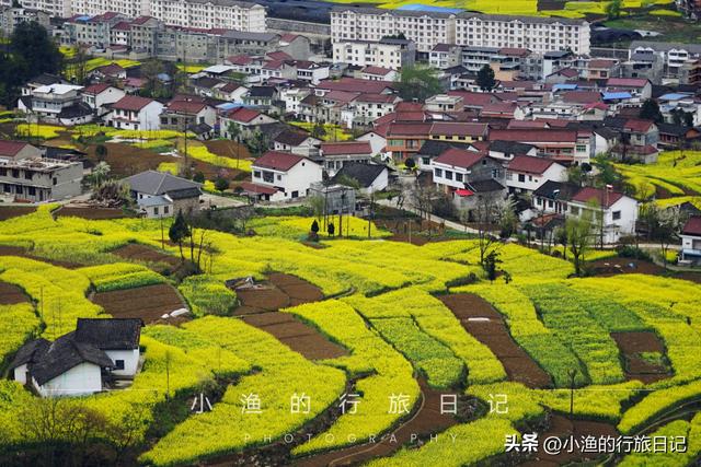 万亩油菜花海游玩攻略，奔赴川陕交界的巴山秘境