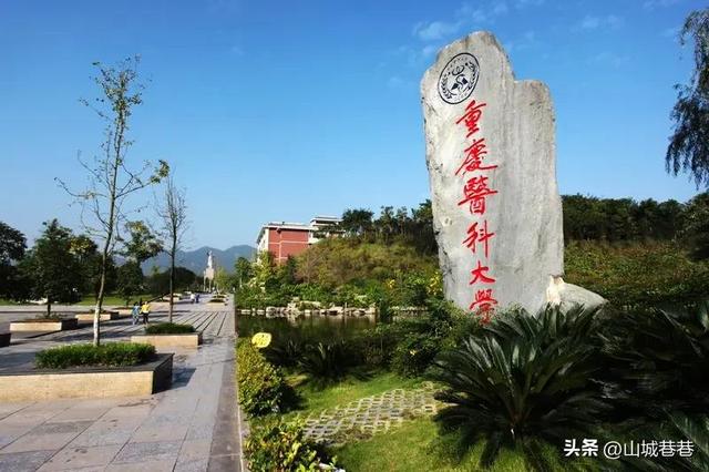 清华大学医学院录取分数线，各大学录取分数线一览表2021（临床医学专业在重庆投档分数线）