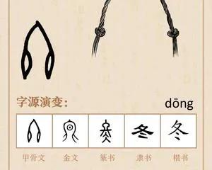 冬的偏旁读什么 冬的偏旁叫什么怎么读 - 珍缘易学