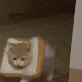 猫猫表情包，猫猫虫表情包（你家里是开幼儿园的吗图片）