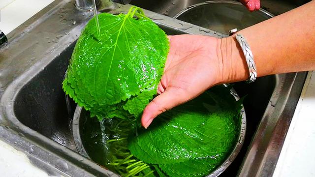 苏子叶的功效与作用，苏子的功效与作用（遇到苏子叶别错过）